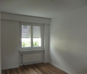 Ruhiges wohnen an sonniger Lage - Photo 3