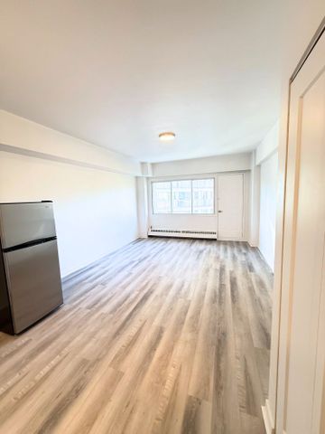 Renovated studio available NOW – 175 Sherbrooke O - Photo 4