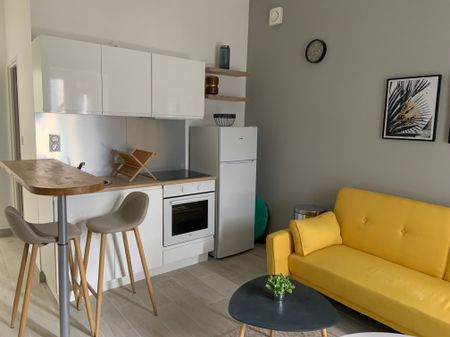 Location Appartement 1 pièce 30m² VICHY 03200 - Photo 4