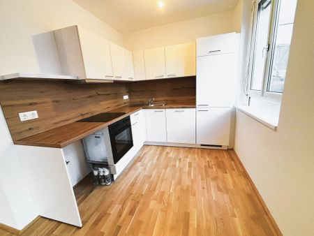 Perfekter Grundriss - neu sanierte 3-Zimmer-Wohnung Nähe Donaulände und Linzer Tabakfabrik! - Foto 3