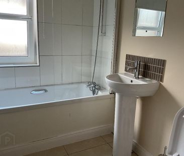 80 Eglantine Avenue, Belfast, BT9 6EU - Photo 4