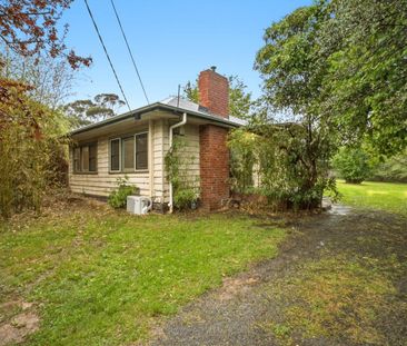 Charming Weatherboard Living with Space to Enjoy - Photo 6