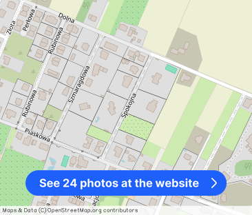 Dom z basenem i kortem tenisowym|Tyniec Mały|332m2 - Photo 1