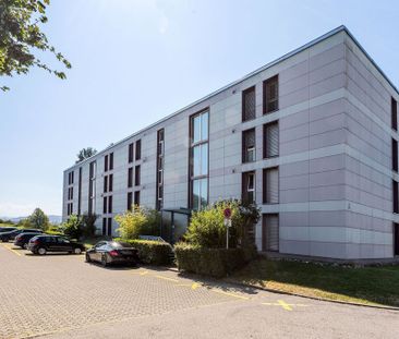 3 Zimmer, 66 m², EG - Photo 3