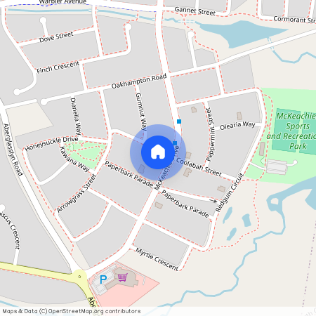 33 McKeachie Drive, NSW 2320, Aberglasslyn