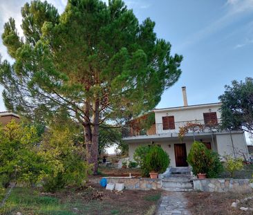 Μονοκατοικία για ενοικίαση - Συκάμινο, - Photo 2