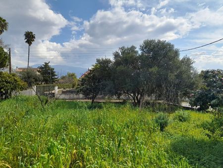 Μονοκατοικία για ενοικίαση Μαυρομμάτι (Μεσσήνη) - Φωτογραφία 2