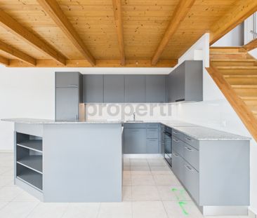 Frisch sanierte und helle Wohnung mit Galerie an toller Lage in Birr - Foto 2