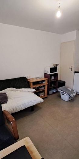 Appartement à louer, 1 pièce - Angers 49000 - Photo 1