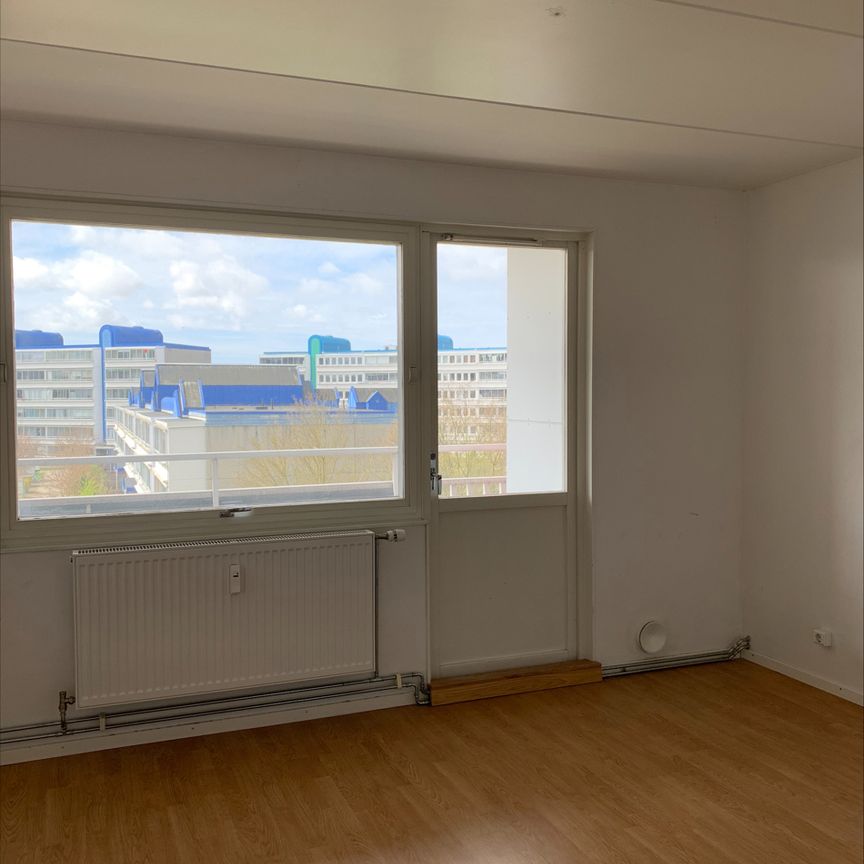 Thomsons väg 28B, Kryddgården - Foto 1