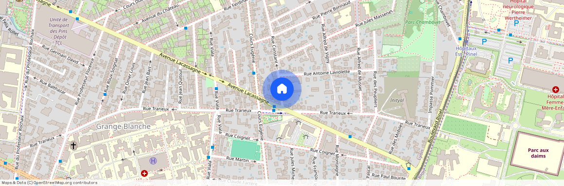 33 RUE CONSTANT, LYON 3EME ARRONDISSEMENT