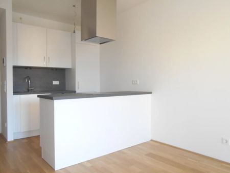 Q5 am PARK sonnige 2ZI mit West/ Balkon - Photo 3