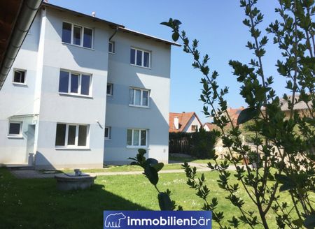 Charmante Wohnung Haus Waltraud Wels Top 4 - Photo 3