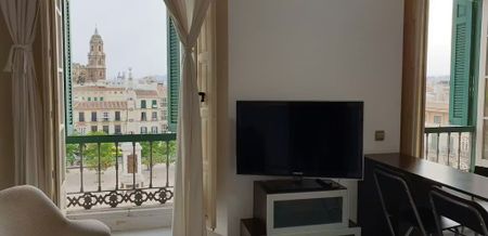 Plaza Merced, Málaga, Andalusia 29012 - Photo 5