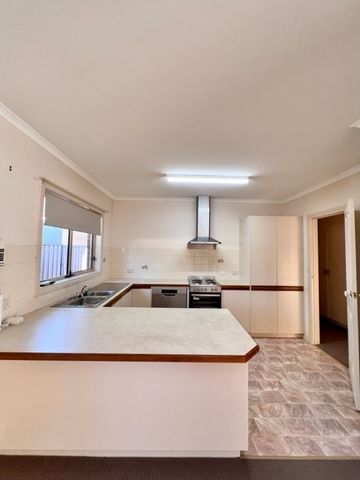 3/78 Ilex Street, Red Cliffs VIC 3496 - Photo 4