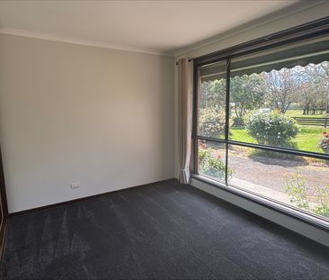 Toongabbie Delight - Photo 4