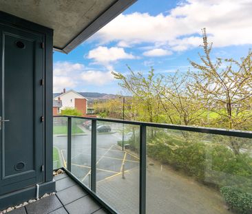 Weavers Hall, Levmoss, The Gallops, Leopardstown, Dublin 18, D18 W772 - Photo 5
