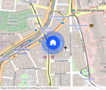 Traumhafte Dachgeschoßwohnung im Herzen des 9. Bezirks - Erstbezug! - Foto 1