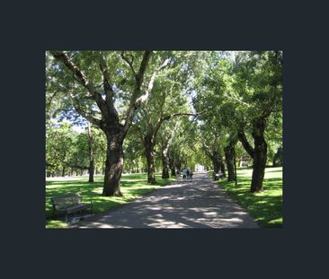 Hidden Treasure - Photo 4