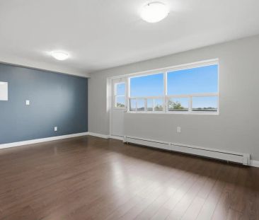 375 Scott Street — 3 Bedroom Deluxe - Photo 5