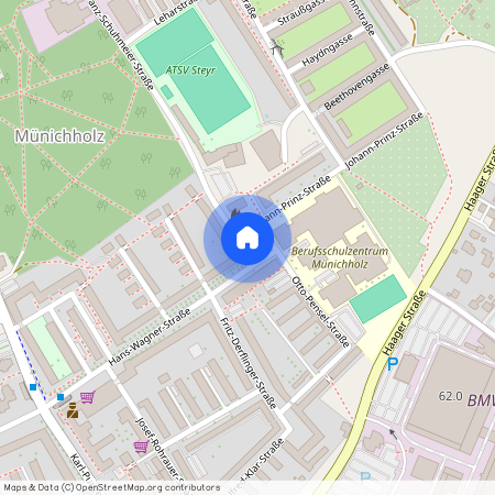 Franz-Schuhmeier-Straße, 4400 Steyr