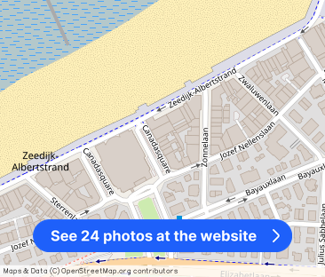 Lichtrijk appartement met zeezicht - Photo 1