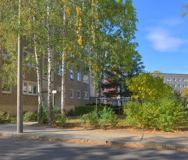 Wohnen in der beliebten Südstadt - Küche u. Bad mit Fenster - Foto 1