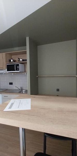Location Appartement 1 pièce 19m² ORLEANS 45000 - Photo 1