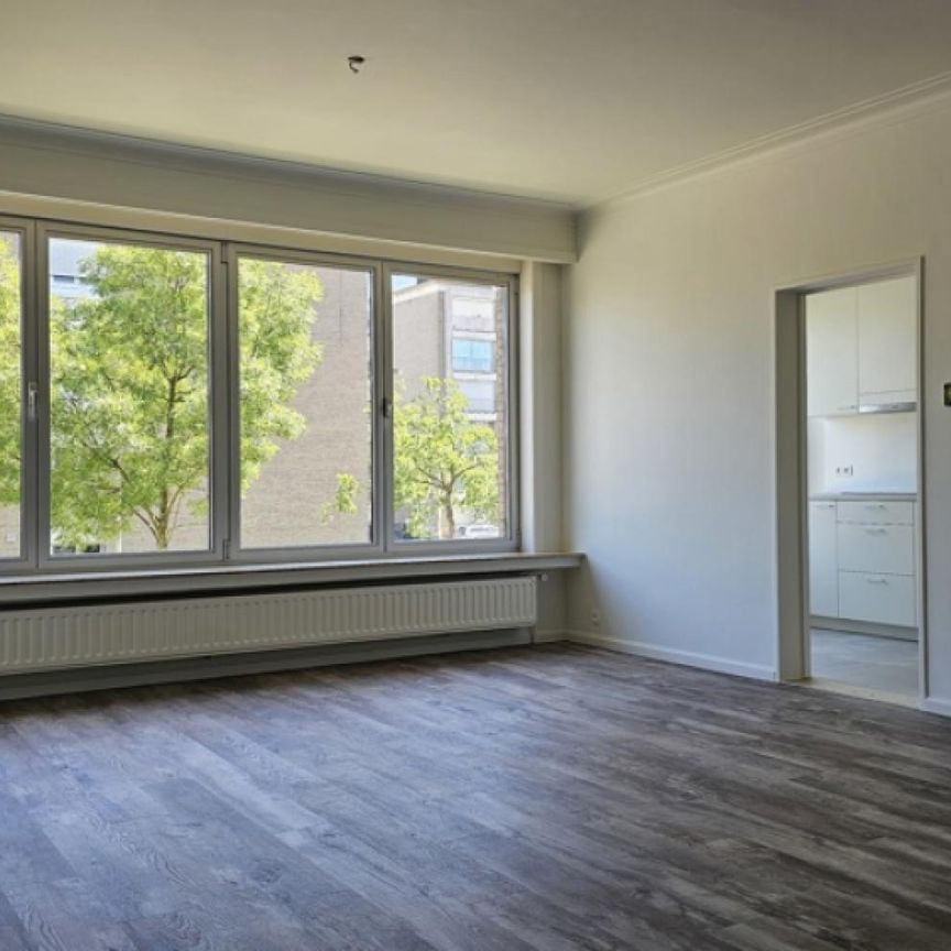 Appartement te huur in Edegem - foto 1