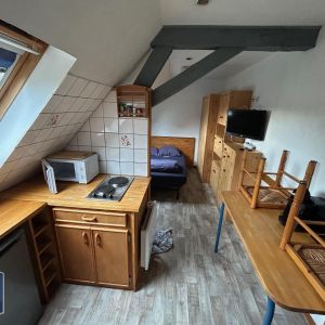 Location Appartement 1 pièce 12m² ST SAULVE 59880 - Photo 3