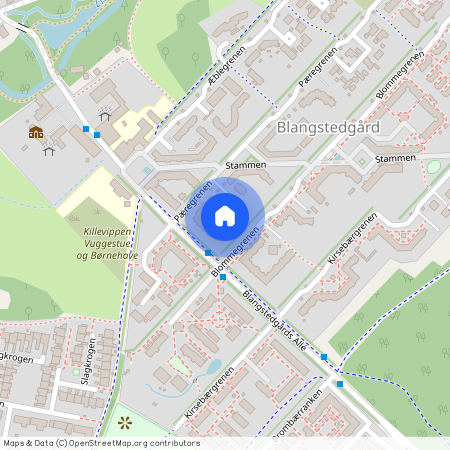 Pæregrenen 19, 5220 Odense SØ