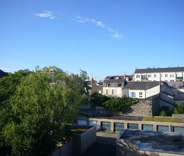 Appartement à louer, 1 pièce - Angers 49000 - Photo 2