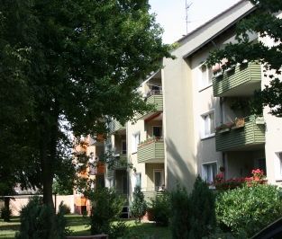 Ruhiges wohnen in Timmerlah-Dachgeschoss Wohnung - Photo 4