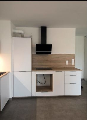Appartement 2 pièces - 53 m² - Photo 1