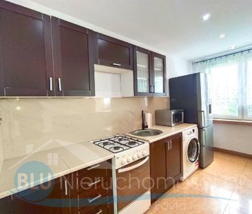 Mieszkanie Głogów Kopernik powierzchnia 34.5 m² C391-WM-96246 - Photo 4