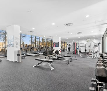 279/7 Irving Street, Phillip ACT 2606 - Apartment For Rent | Domain - Photo 2