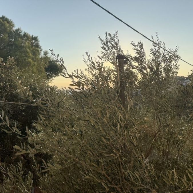 Διαμέρισμα για ενοικίαση Λαγονήσι (Καλύβια Θορικού) - Photo 1