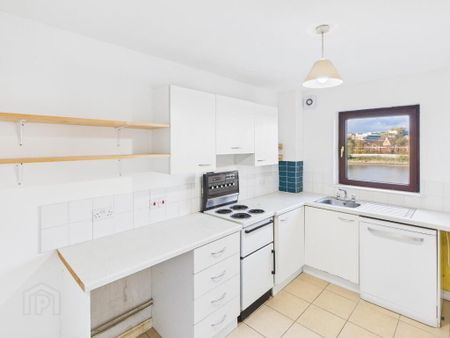 13 Ravenhill Reach Mews, Belfast, BT6 8RE - Photo 5