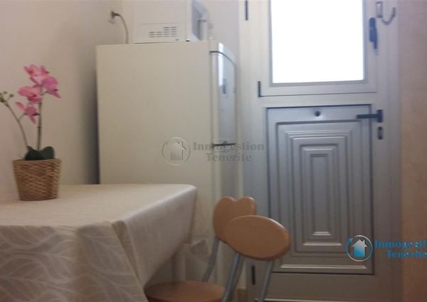 *Rent season apartment in Las Galletas