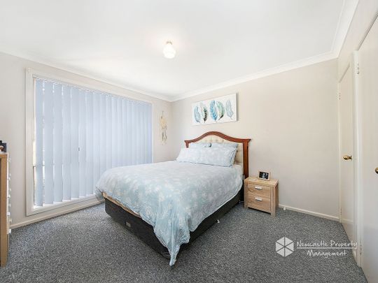 3/2 Teramby Road, Hamilton - Photo 1