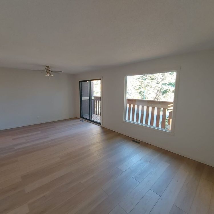 3 Bedroom 1.5 Bathroom Unit in Oriole Park - Photo 1
