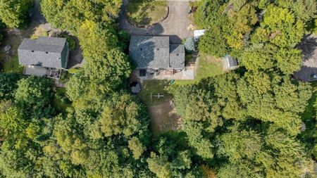 Maison de plain-pied à louer - Sainte-Anne-des-Lacs Maison de plain-pied à louer - Sainte-Anne-des-Lacs - Photo 2