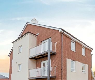 Sunflower Road, - Photo 5