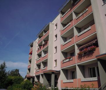 Platanenring 04-07, 68,10 qm, sanierte 3-Zimmer-EG-Komfort-Whg mit ... - Foto 5