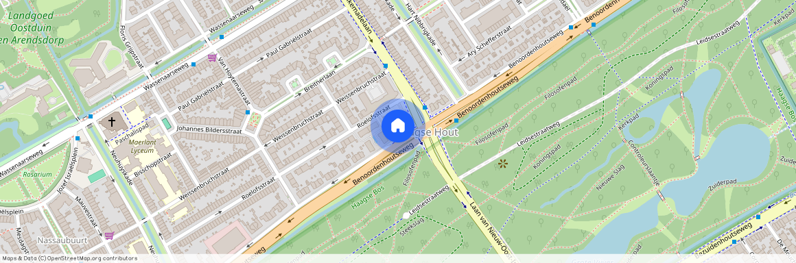 Benoordenhoutseweg 227, Van Hoytemastraat e.o., 2596BE, Den Haag