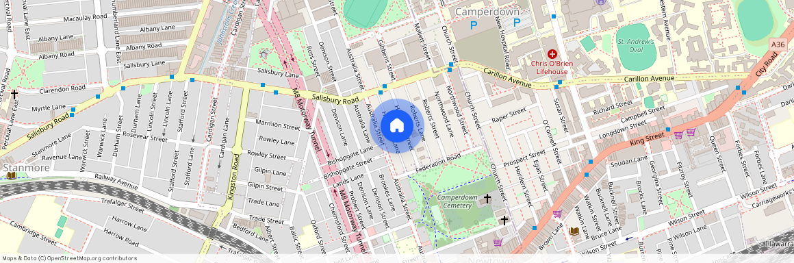 39 Hopetoun Street, Camperdown NSW 2050