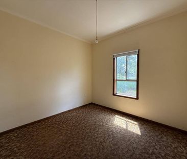 Farm Property - Photo 3