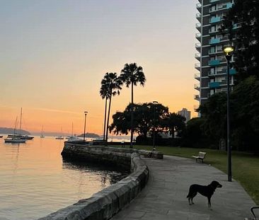 Rushcutters Bay - Photo 6