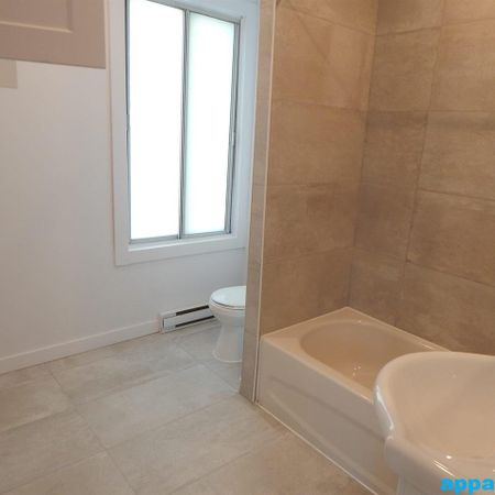 Montréal – Avenue Mercier – 3 bedroom apartment for rent - Photo 4