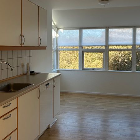 Risvænget 7B, Birkende - Enderækkehus 85 m3 i roligt vænge - Photo 3